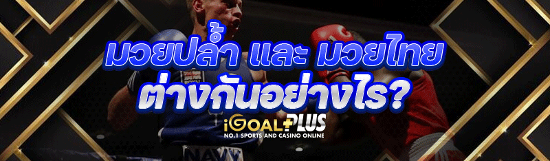 มวยปล้ำ และ มวยไทย ต่างกันอย่างไร?